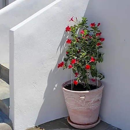 Crystal View Mykonos Ξενοδοχείο με διαμερίσματα Mykonos Town