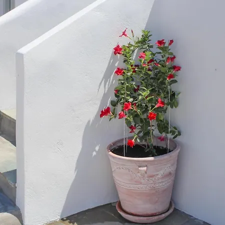 Crystal View Mykonos 4*